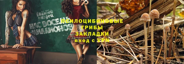 тгк Покровск