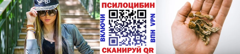 Псилоцибиновые грибы GOLDEN TEACHER  Агидель 